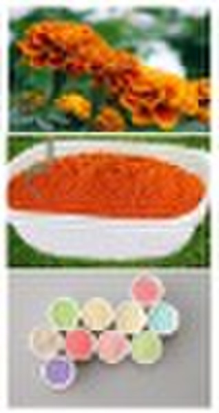 Marigold Flower Extract-----Zeaxanthin ( Powder/Pe