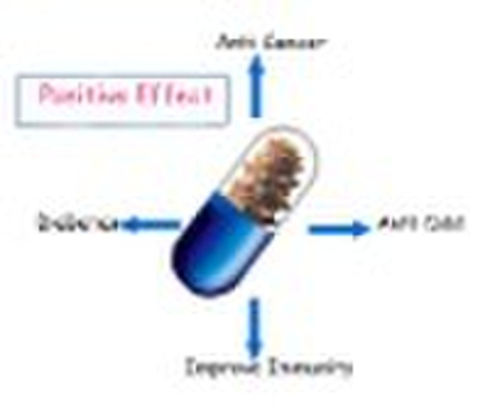 Seegurke Peptide Capsule ---- OEM Produkte