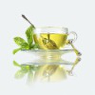 Green Tea  Extracts---Tea Polyphenols