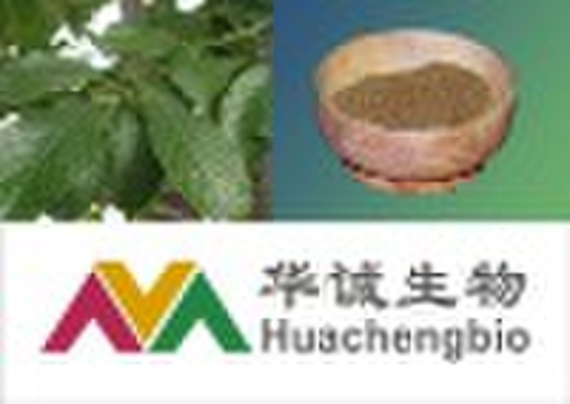 Eucommia Leaf Extract