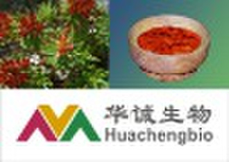 Rhodiola Rosea Extract