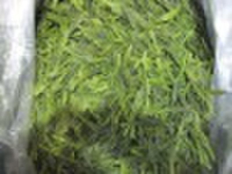 green tea/shuang jin green tea