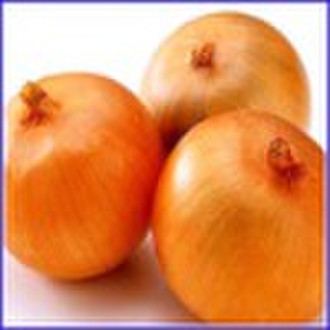 Yellow onion