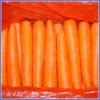 Carrot