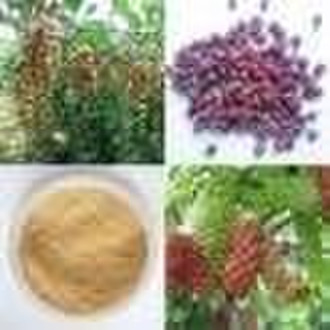 Schisandra Berry Extract