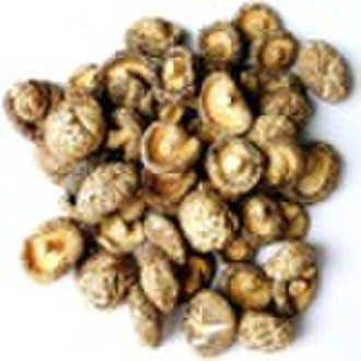 organic dry shiitake mushroom or powder,organic sh