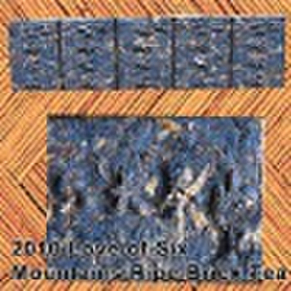 2010 Love of Six Mountains Ripe Brick Tea