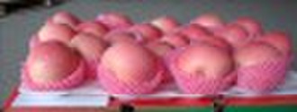 FUJI APPLE
