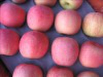 Fresh Fuji Apple