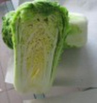 Fresh  Chinese Cabbage