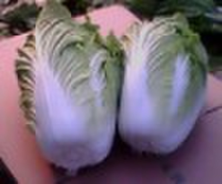 FRESH CHINESE CABBAGE