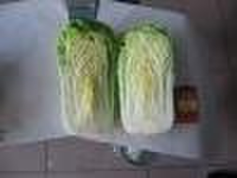 Fresh Chinese Cabbage