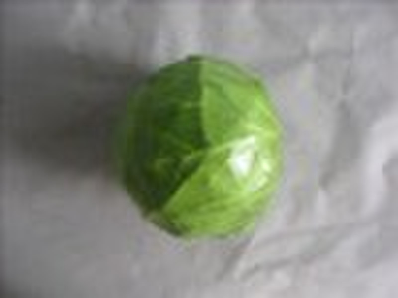FRESH ROUND CABBAGE