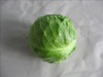 FRESH ROUND CABBAGE