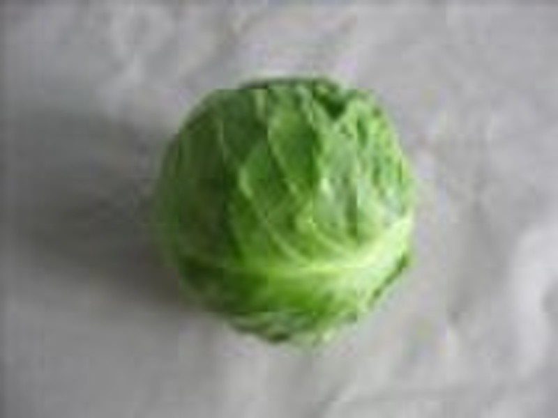 FRESH ROUND CABBAGE