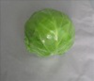 fresh round cabbage