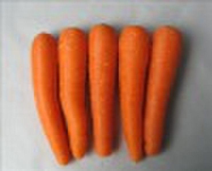 Fresh Carrot