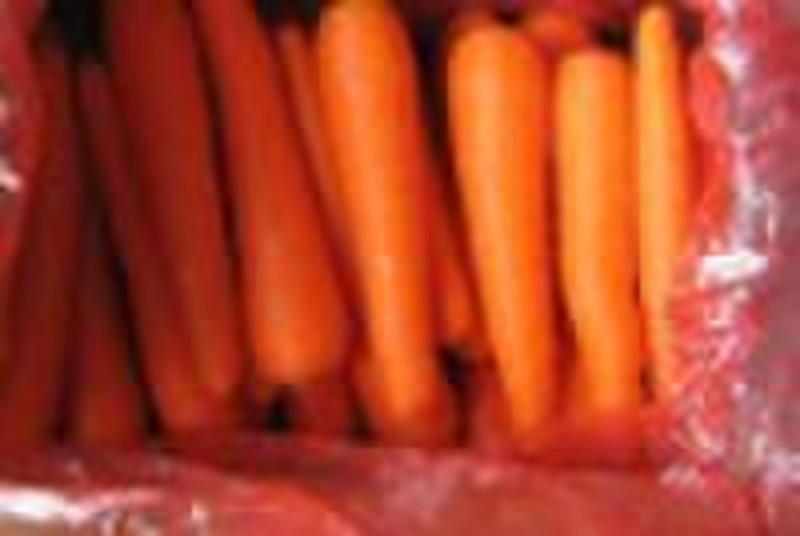 FRESH CARROTS