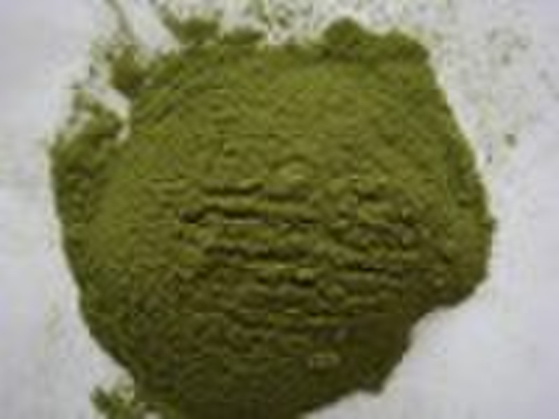 Plant Extract Powder