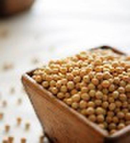 Soybean Extract