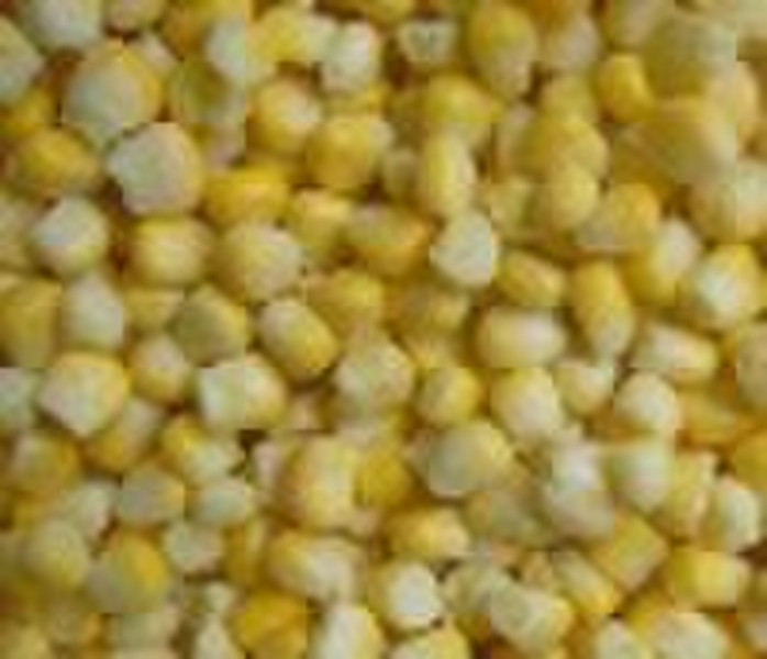 FROZEN sweet corn