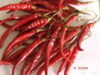 Yunnan Chili with stem