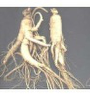 Ginseng extract