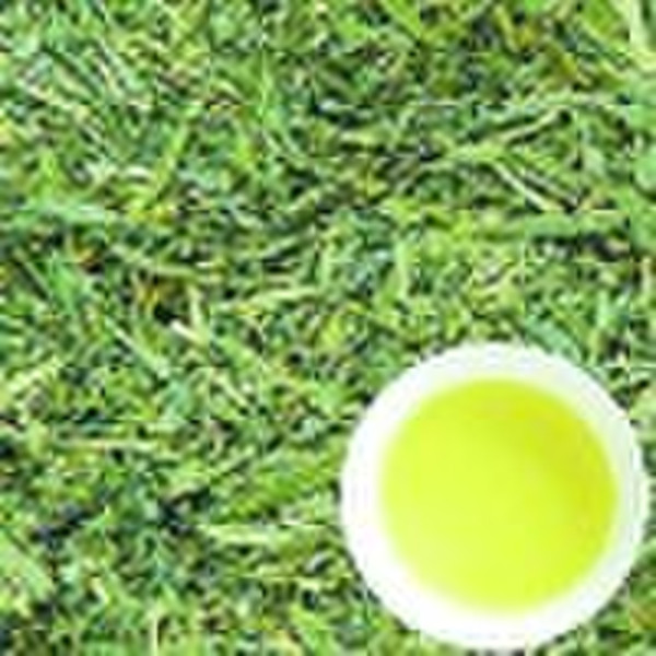 Green Tea extract