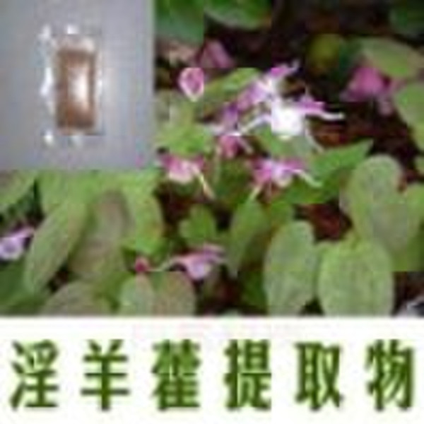 Icariin 50% 60% 80% 98%,Epimedium extract