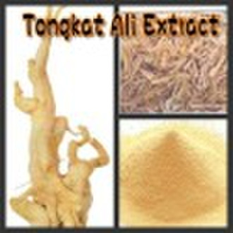 plant extract,Tongkat Ali,Eurycoma longifolia Jack