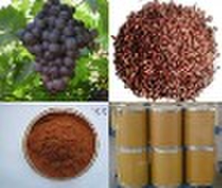 Grape Seed Extract