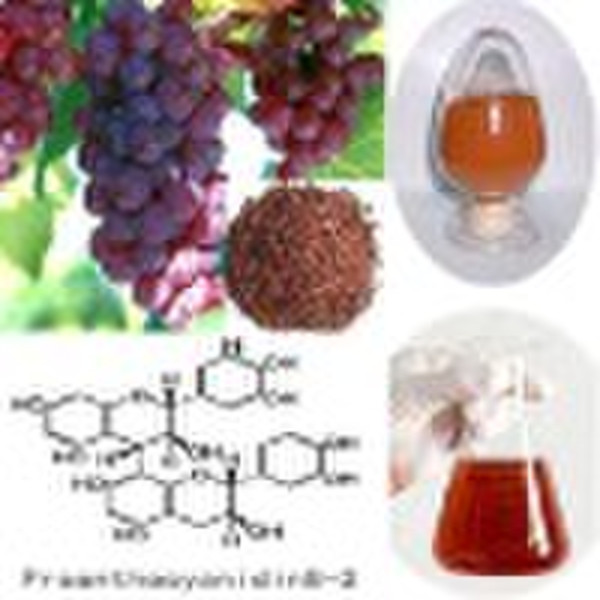 Grape Seed Extract