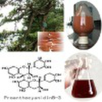 Pine Bark Extract