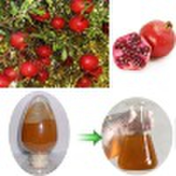 Pomegranate Extract