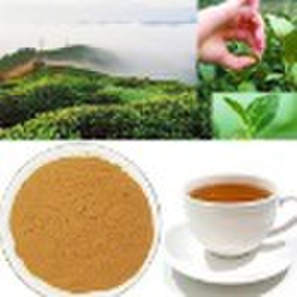 Green Tea Extract