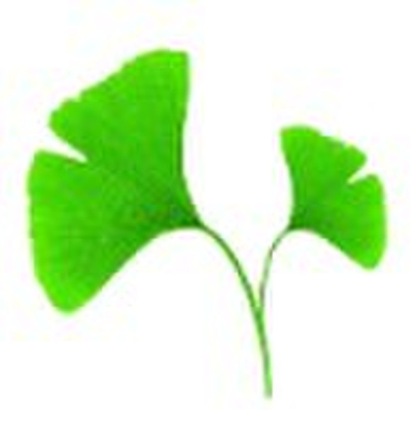 water soluble ginkgo biloba extract