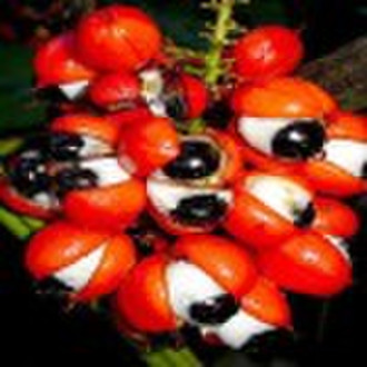 Guarana seed extract (guarana caffeine:10%,22% )