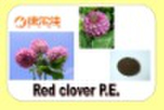 Red Clover extract. Natural Healthy medicine suppl