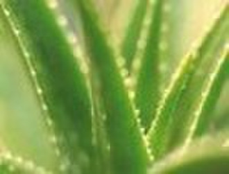 Aloe Emodin 98%