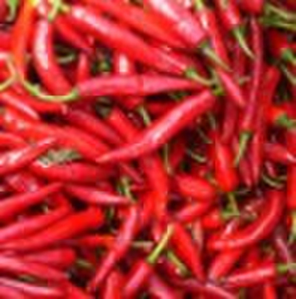 Cayenne Extract powder Capsaicin20%