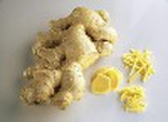 Ginger Plant Herbal Extract 84696-15-1