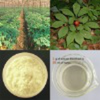 American Ginseng Extract