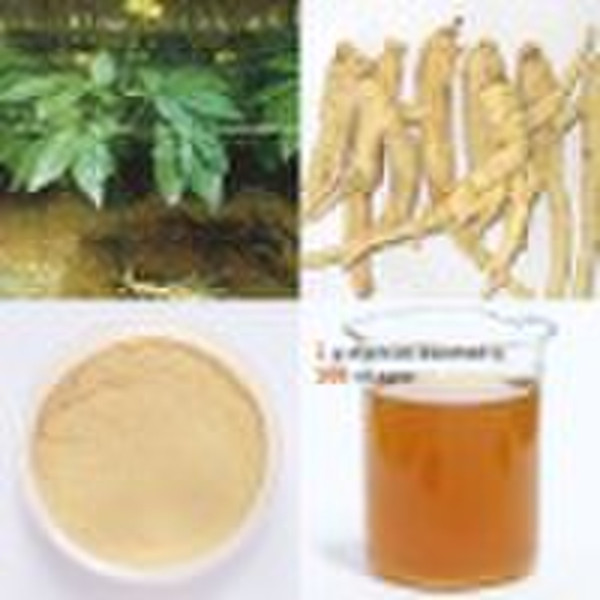 Panax Ginseng  Powder