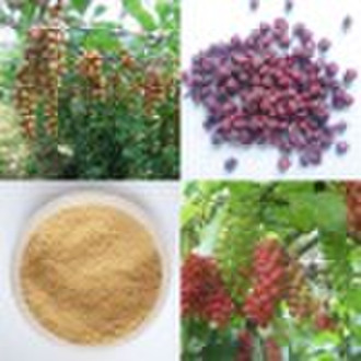 Schisandra Extract, Schisandrins