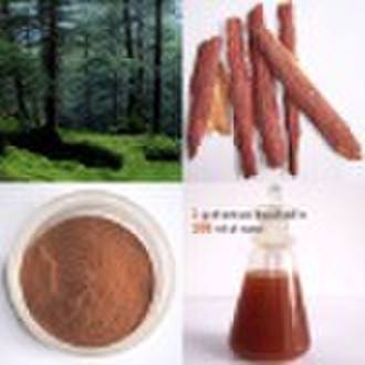 Pine Bark Extract,