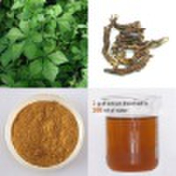 Siberian Ginseng Extract