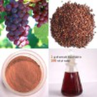 Grape Seed Extract