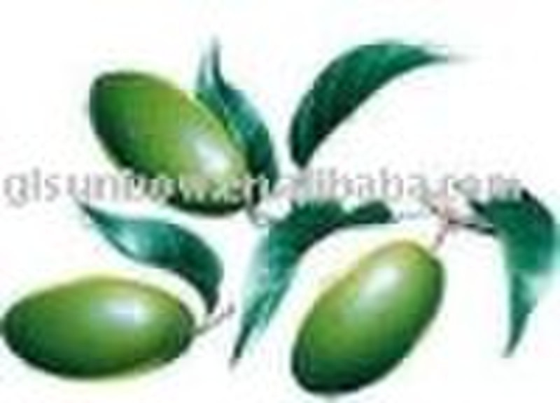 Hydroxytyrosol /olive leaf extracted 10% 20% 30% 4