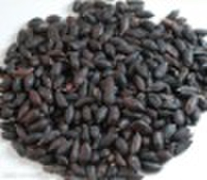 Supply Black Skin Peanut Kernels,rich in selenium