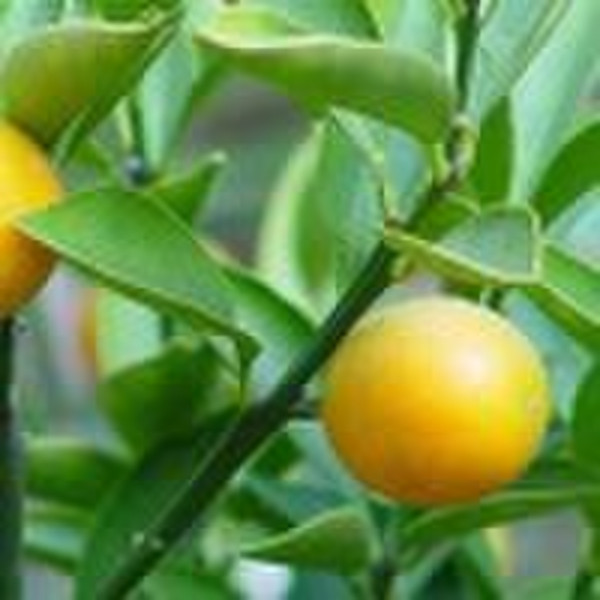 Citrus Extract-Naringin 98% HPLC